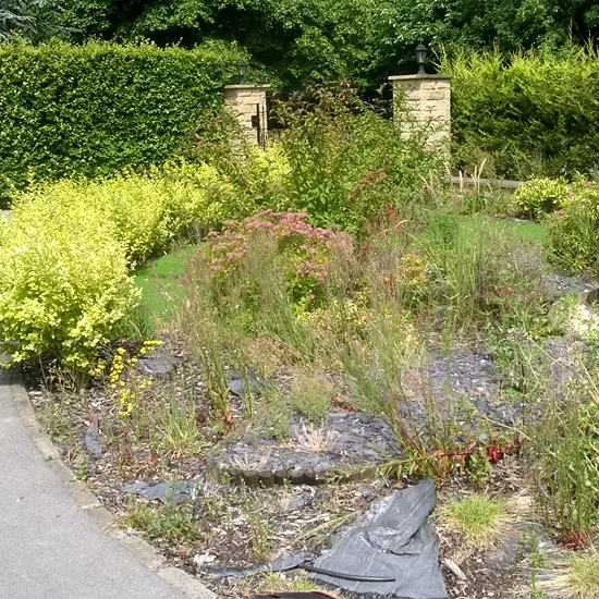 download - 2026-03-12T213622.031