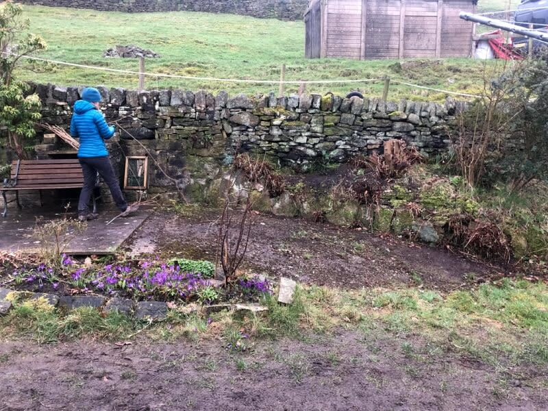 download - 2026-03-12T213824.512